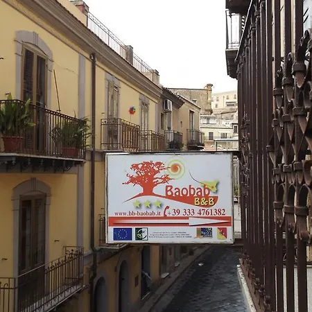 Baobab Piazza Armerina